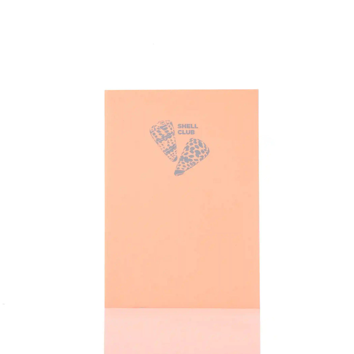 Notebook | Mega Cone - Nectarine Main image